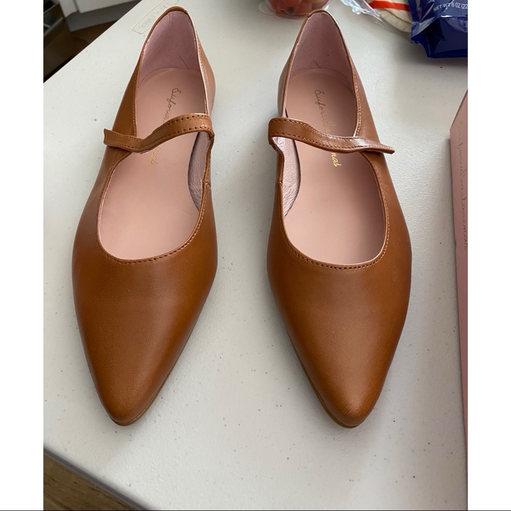 Brown ballerina shoes